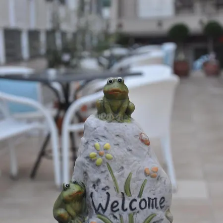 Ammolithos ستافروس