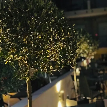 Ammolithos Διαμέρισμα *