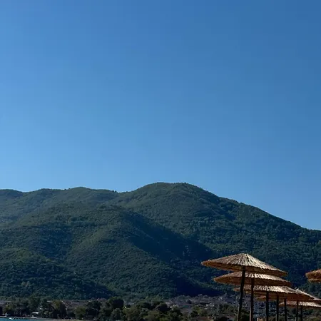 Ammolithos Διαμέρισμα